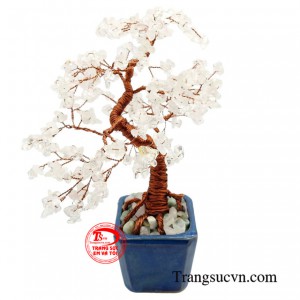 Việc sở hữu một cây tài lộc tươi tốt sẽ tượng trưng cho sự sung túc, đem lại nguồn cát khí mạnh mẽ cho ngôi nhà, văn phòng công ty hoặc cửa hàng kinh doanh.