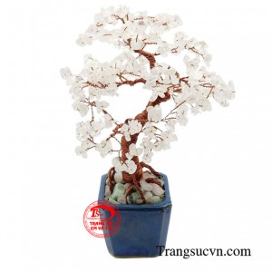 Cây thạch anh trắng là một vật trang trí tuyệt vời, giúp không gian sống trở nên sang trọng, tinh tế và tràn đầy năng lượng tích cực.