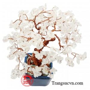 Sản phẩm được giao hàng toàn quốc.