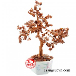 Cây tài lộc mã não đỏ là biểu tượng của sự phát triển, sung túc và sức sống.