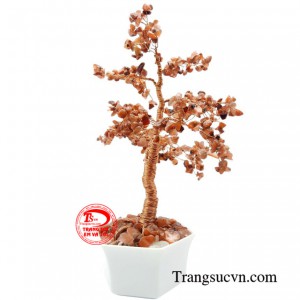 Khi đặt cây tài lộc đá mã não trong nhà giúp cải thiện kỹ năng giao tiếp và tăng cường khả năng ăn nói của gia chủ.