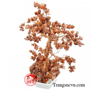 Sản phẩm mang lại vẻ đẹp và những điều may mắn trong chính không gian của bạn.