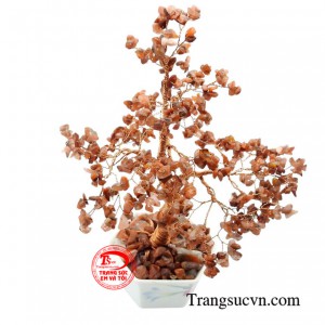 Sản phẩm được giao hàng toàn quốc.