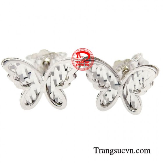 Hoa tai hồ điệp vàng trắng