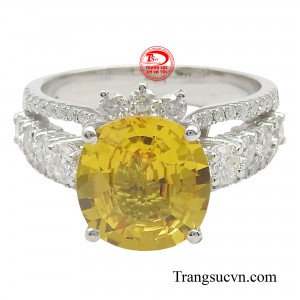 Sở hữu một chiếc nhẫn sapphire không chỉ tôn lên vẻ đẹp của người đeo mà nó còn thể hiện sự sang trọng và đẳng cấp của mình.