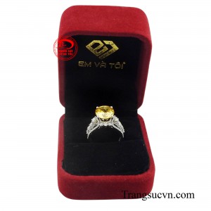 Sản phẩm được thanh toán an toàn.