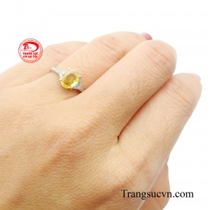 Sản phẩm được thanh toán an toàn.