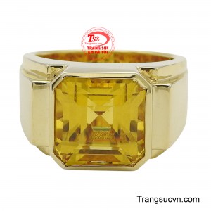 Thạch anh vàng, với sắc vàng ấm áp và lấp lánh, tượng trưng cho sự giàu có, thịnh vượng và may mắn, mang đến cho người đeo sự tự tin và thành công.