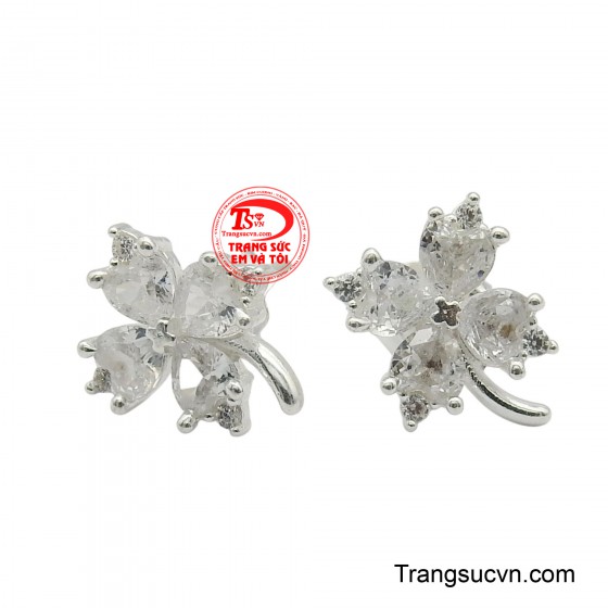 Hoa tai bạc cỏ bốn lá