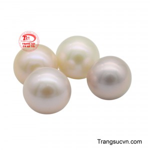 Sự hoàn hảo của hình dáng và màu sắc khiến nó trở thành một biểu tượng của sự tinh khiết và vẻ đẹp cổ điển.