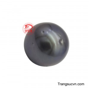 Màu sắc đen ánh tím huyền ảo, gợi nhớ đến độ sâu thẳm của đại dương.