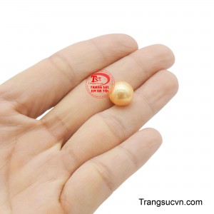 Đây là một lựa chọn táo bạo và cá tính cho những ai muốn thể hiện sự độc đáo của mình.