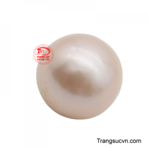 Sắc hồng dịu mắt của nó không quá chói chang mà mềm mại, như một làn sương sớm.