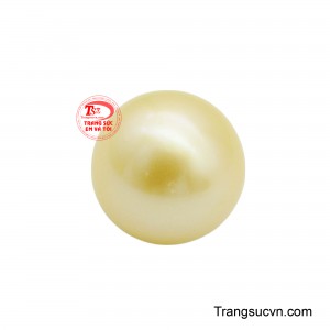 Màu vàng tự nhiên, pha chút sắc kem nhẹ, làm tăng thêm vẻ sang trọng và quý phái mà không hề chói chang.