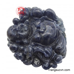 Viên đá quý không chỉ gia tăng vẻ đẹp cho không gian mà còn thu hút tài lộc, may mắn và hạnh phúc cho gia chủ, là một biểu tượng của sự thịnh vượng và an lạc.