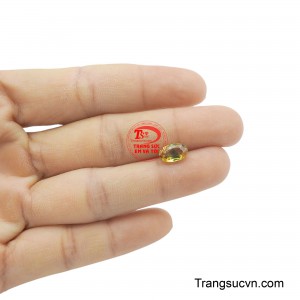 Sản phẩm được thanh toán an toàn.