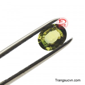 Màu xanh lục biểu thị sự tĩnh lặng, sự cân bằng và sự thích nghi, trong khi màu vàng biểu thị sự giàu có, sự tươi vui và sự sáng suốt.