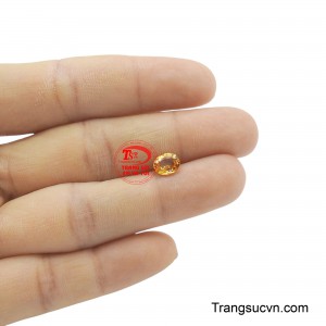 Sản phẩm được thanh toán an toàn.