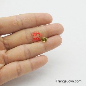 Sản phẩm được thanh toán an toàn.