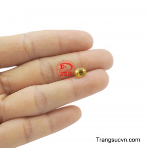 Sản phẩm được thanh toán an toàn.