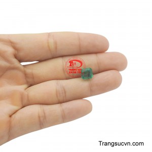 Sản phẩm được thanh toán an toàn.