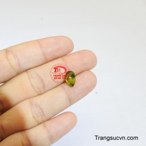 Sản phẩm được thanh toán an toàn.