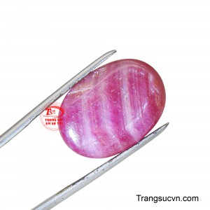 Điểm đặc biệt nhất chính là hiệu ứng 