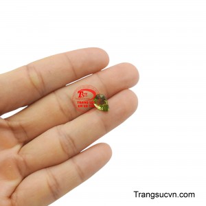 Sản phẩm được thanh toán an toàn.