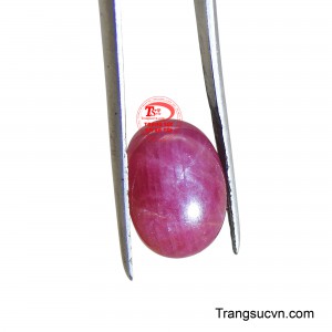 Đây là món quà ý nghĩa để dành tặng cho chính bản thân hay những người thân yêu vào các dịp đặc biệt.