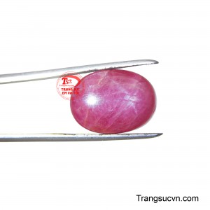 Sản phẩm có chất lượng tốt.