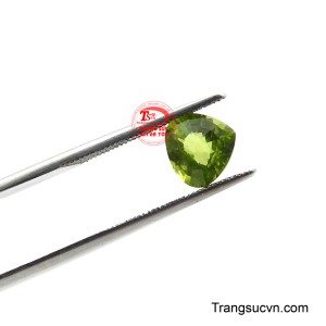 Sắc xanh tươi mát của nó hòa quyện hoàn hảo với nguồn năng lượng của hành Mộc, tượng trưng cho sự sinh sôi, nảy nở và phát triển không ngừng.