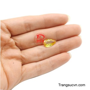 Sản phẩm được giao hàng toàn quốc.