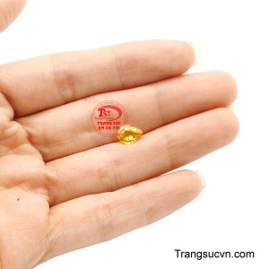 Sản phẩm được thanh toán an toàn.