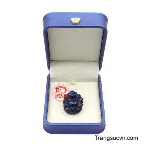 Sản phẩm được giao hàng toàn quốc.