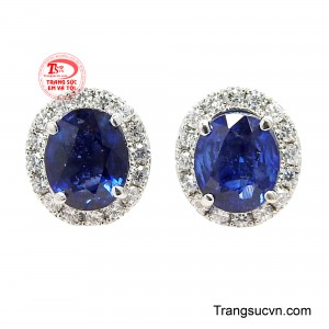 Hoa Tai Bạc Sapphire Kiều Diễm mang vẻ đẹp sang trọng và đầy cuốn hút, là lựa chọn hoàn hảo dành cho những quý cô yêu thích phong cách thanh lịch nhưng vẫn nổi bật.