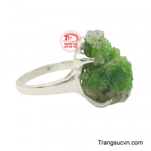 Sắc xanh ấy không chỉ mang đến cảm giác thư thái, cân bằng mà còn tượng trưng cho sự phát triển, thịnh vượng và những khởi đầu tốt đẹp.