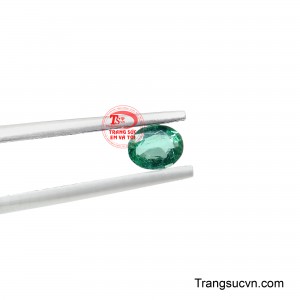 Emerald là viên đá tượng trưng cho sự cân bằng, trí tuệ và hy vọng, giúp xoa dịu tâm trí, nuôi dưỡng sự lạc quan và thu hút những điều tốt đẹp đến với người sở hữu.