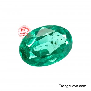 Nổi bật với sắc xanh lục bảo tự nhiên, đây là gam màu tượng trưng cho sự sinh sôi, thịnh vượng và nguồn năng lượng tích cực. 