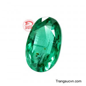 Cùng sắc xanh lục bảo tự nhiên đầy sức sống toát lên vẻ đẹp tinh tế và sang trọng. 