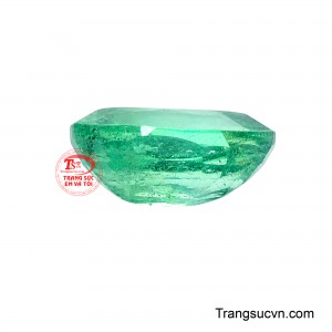 Lục Bảo Thịnh Vượng gợi lên hình ảnh của sắc xanh phồn thịnh, biểu tượng cho sự sinh sôi, phát triển và thành công bền vững.