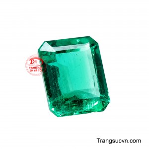 Sở hữu dáng chữ nhật thanh lịch với những đường nét cân đối và mạnh mẽ.