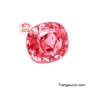 Gam màu ấm áp là sự giao hòa giữa nét dịu dàng của hồng và nguồn năng lượng tươi sáng của cam, tạo nên vẻ đẹp rạng rỡ nhưng vẫn thanh lịch, dễ dàng chinh phục mọi ánh nhìn. 