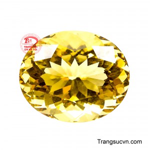 Đồng thời, sắc vàng ấm áp còn tượng trưng cho niềm vui, sự lạc quan và nguồn sinh khí dồi dào, mang đến cảm giác cân bằng và vững vàng trên hành trình chinh phục mục tiêu.