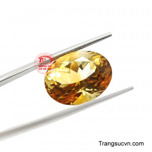Mong muốn đồng hành cùng một biểu tượng của thịnh vượng, bản lĩnh và thành công được vun đắp từ những giá trị bền vững.