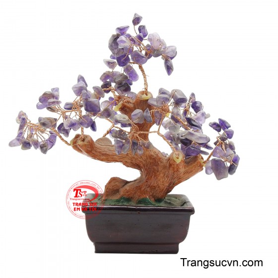 Cây đá quý Amethyst chiêu tài