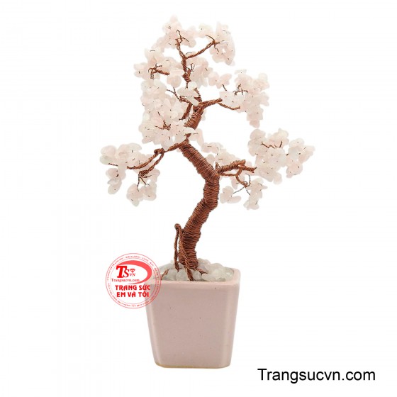 Cây đá quý thach anh hồng