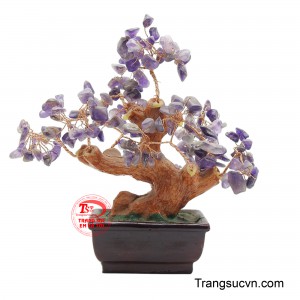 Cây đá quý Amethyst chiêu tài