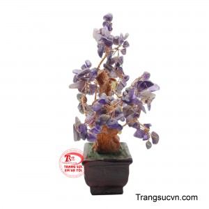 Đặt cây tại phòng khách, bàn làm việc hoặc không gian kinh doanh giúp tạo điểm nhấn sang trọng, đồng thời gửi gắm mong cầu tài lộc, may mắn và công việc thuận lợi.
