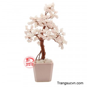 Từng nhánh cây vươn tỏa như những chùm hoa, mang đến vẻ đẹp thanh nhã, ấm áp và đầy sức sống cho không gian.