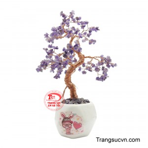 Cây đá quý thạch anh tím đẹp